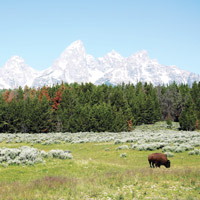 Photography Courtesy of Spring Creek Ranch