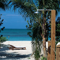 Parrot Cay