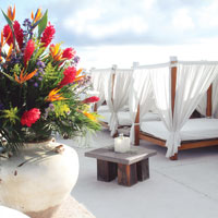 Photograph Courtesy of Ceiba Del mar Beach & Spa Resort