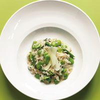 Mercato’s fava bean risotto. Photograph by Jason Varney
