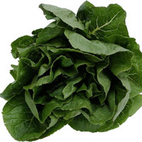 Image photos.com