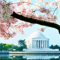 loewshotels.com