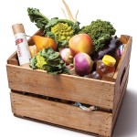 CSA-greensgrow-aimee-olexy-talulas