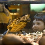 The Academy of Natural Sciences in Philadelphia.