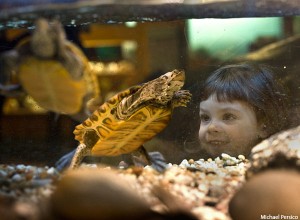The Academy of Natural Sciences in Philadelphia.