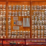 The Mutter Museum in Philadelphia.