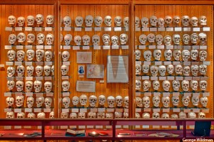 The Mutter Museum in Philadelphia.