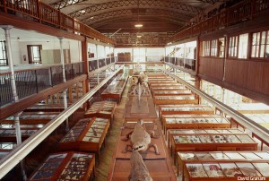 The Wagner Free Institute of Science in Philadelphia.