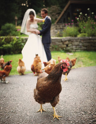 A Real Wedding