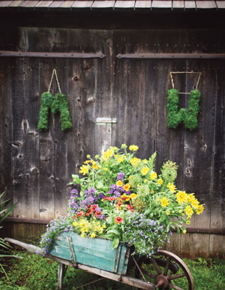 The Flowers