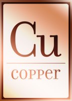 Copper Bistro