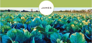 James