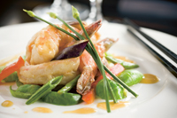 Shrimp