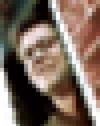 Craig LaBan Pixelated