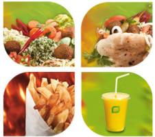 maoz.jpg