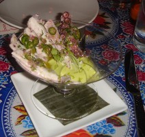 distrito_octopus