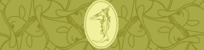 little_fish