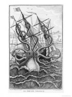 giant_octopus