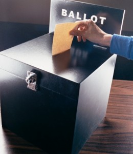 voting vote polls