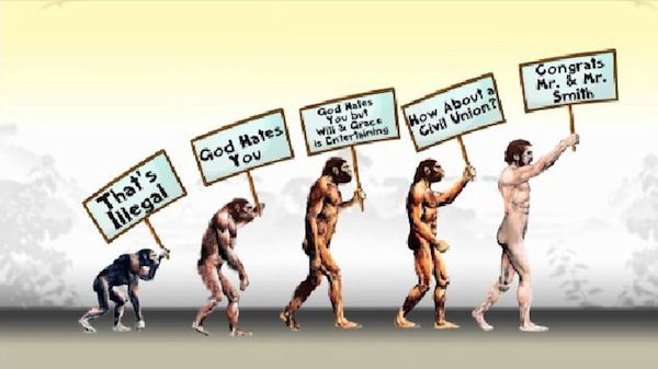 Funny Evolution Chart
