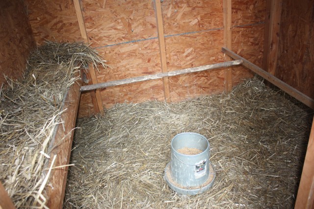 inside_the_chicken-coop