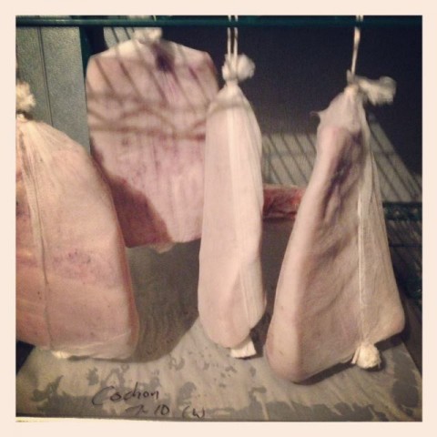 lardo-cochon-epic-mildred
