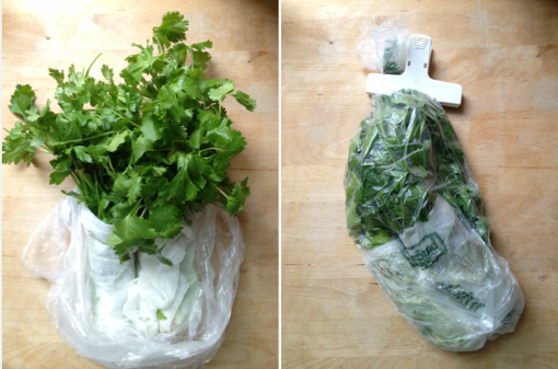 how to store fresh cut herbs