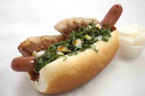 seoul-dog