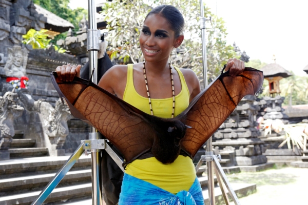 Renee poses with a Balinese bat.