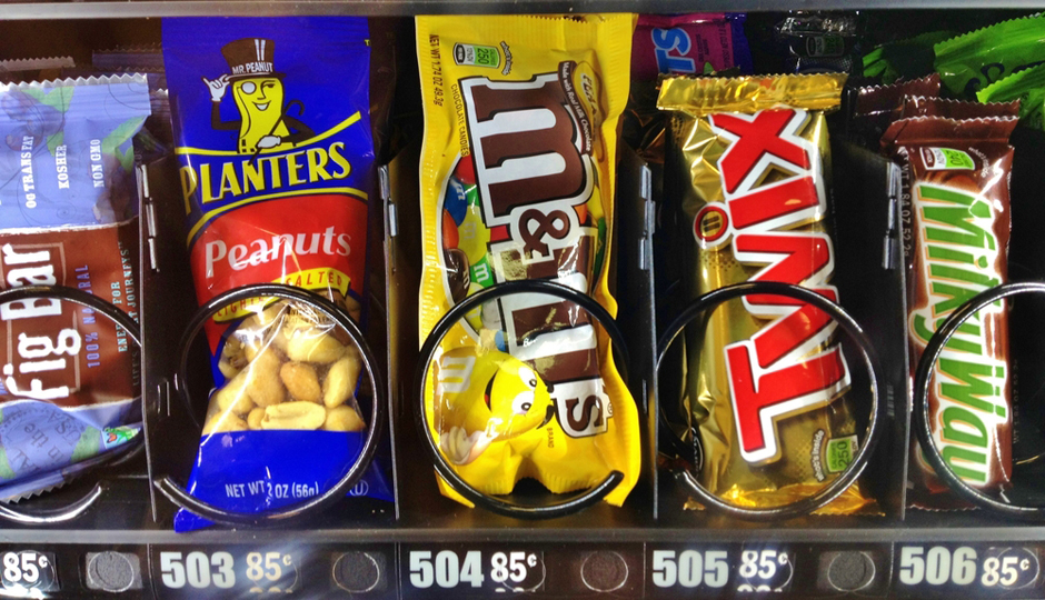 Lissandra Melo / Shutterstock.com