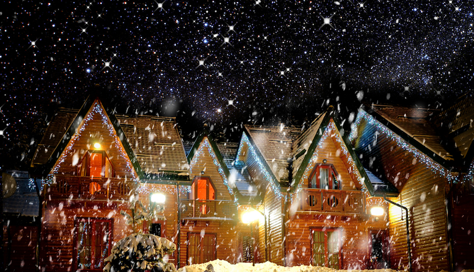 Photo | Shutterstock.com