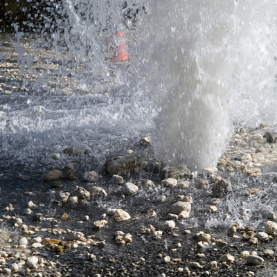 Photo | Shutterstock.com