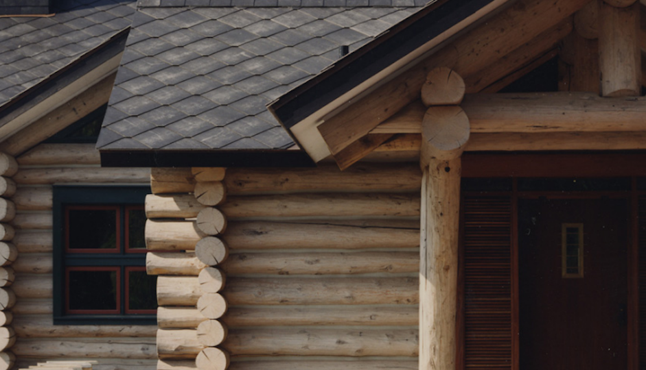 michael ryan log home