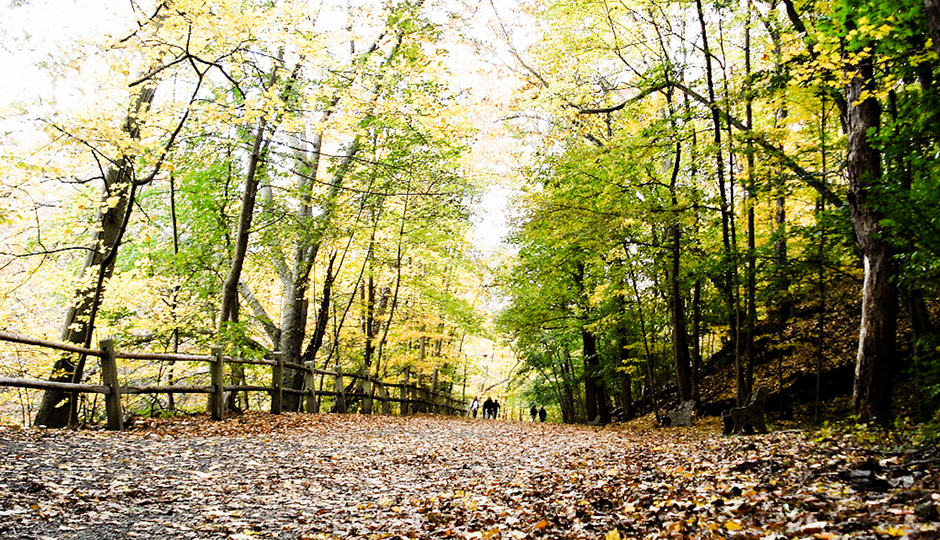 Photo by Flickr user Rhys A.
