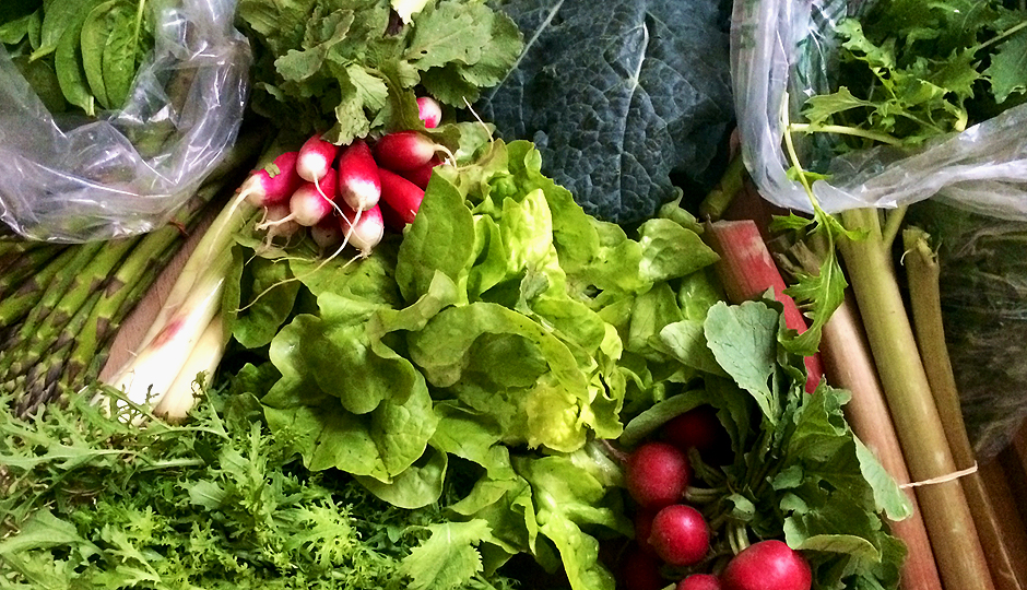 Emily's CSA share