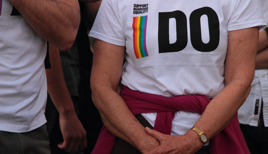 paintings / Shutterstock.com