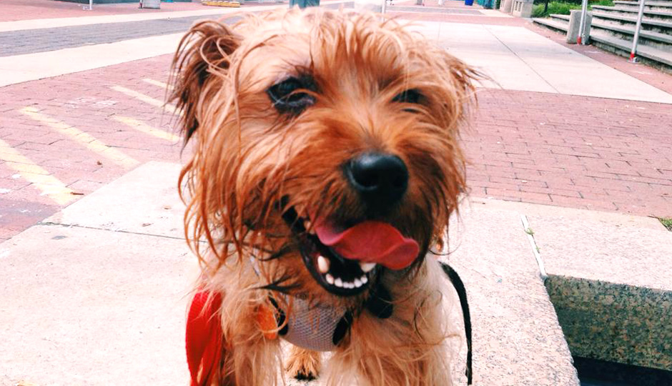 This is Bailey.
