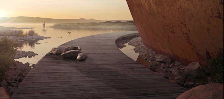 A detail of one of OLIN's renderings for the New Presidio Parklands Project.