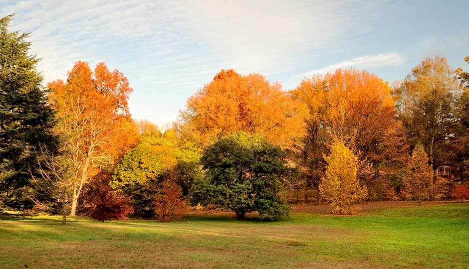 Fall in Tyler Arboretum | Photo by Barry Rubin via Facebook