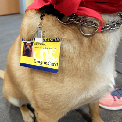 Jersey's super official ID card.