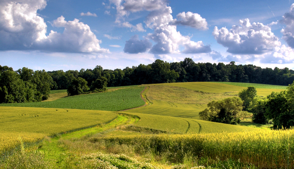 ChesLen Preserve, Photo credit: Simone Collins Landscape Architecture
