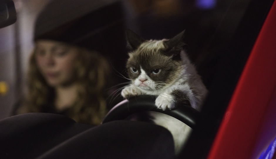 Grumpy Cat's Worst Christmas Ever