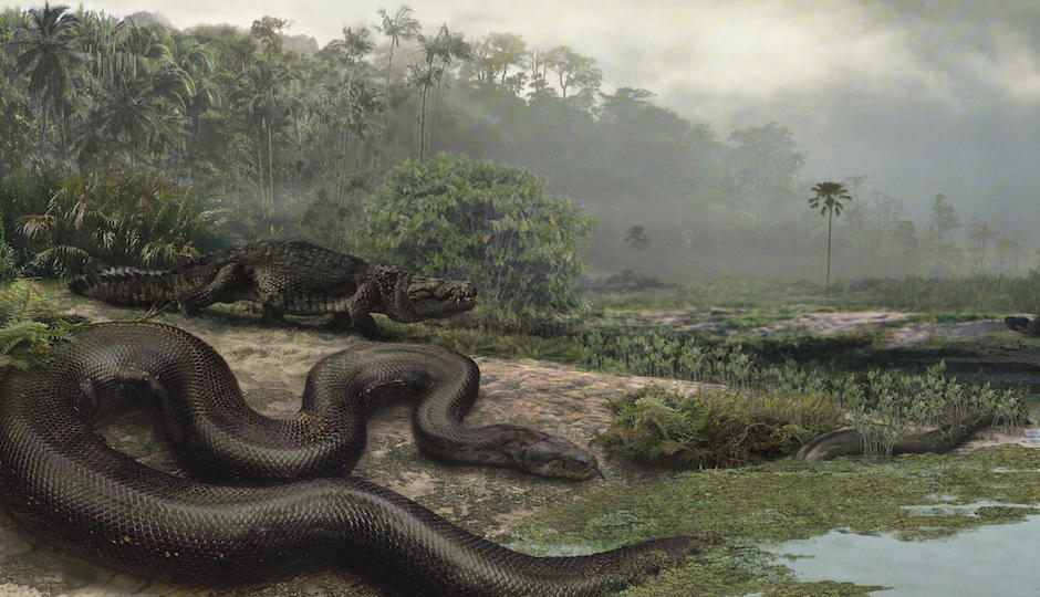 Photo courtesy of Smithsonian