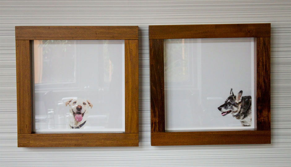 The Sabatinos dogs at Aldine | Photo by  Emily Teel