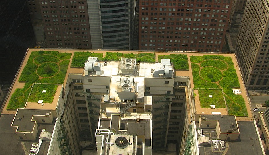 Green roof on Chicago's City Hall | Photo via Wikimedia Commons