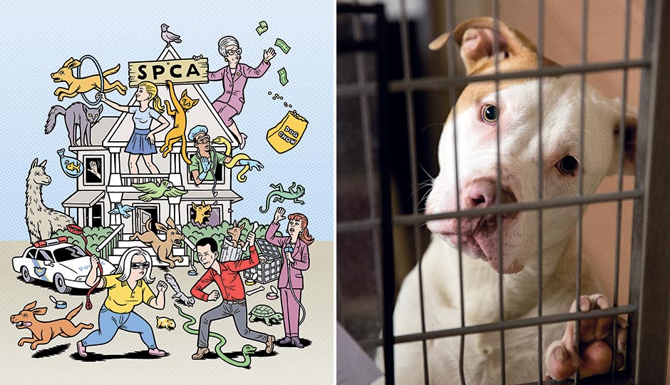 Illustration by Danny Hellman; photograph by Christopher Leaman