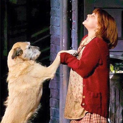 Macy, one of Berloni's dogs, in Annie.