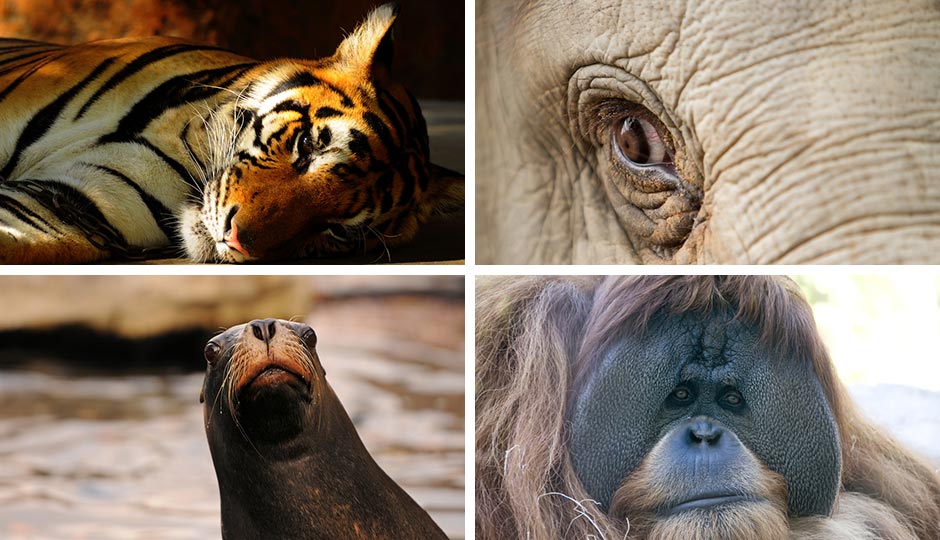 Photos | Shutterstock.com 