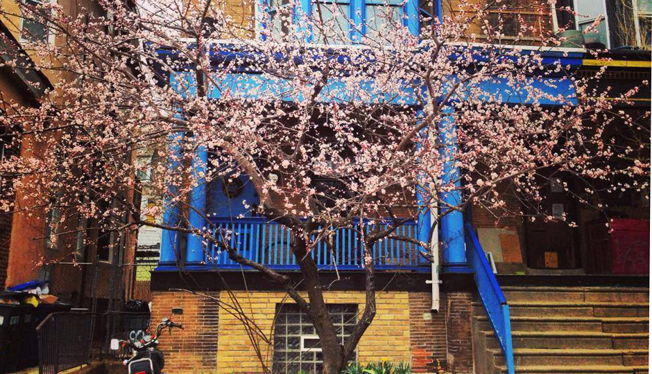 Photo via Facebook | Tree Philly
