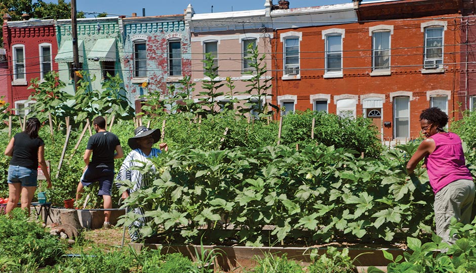 Marathon Farm in Brewerytown. R. Kennedy for GPTMC